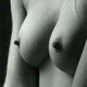 B/W Image Of Fuzzy Breasts With Sweet Hard Nipples.