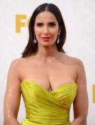 [Request] Padma Lakshmi Of &Amp;Quot;Top Chef&Amp;Quot; Fame