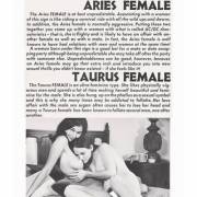 &Amp;Quot;Aries Female &Amp;Amp;Amp; Taurus Female&Amp;Quot; From A Vintage Sexual ...