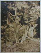 &Amp;Quot;Nudes In Griffith Park&Amp;Quot; Photographed By Edwin Bower Hesser (C.1921)