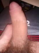 Haven't Posted In A While, Here's My Uncut Cock!