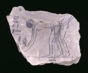 Ostracon (Broken Ceramic Used As Writing Surface) Depicting Rear Entry Intercourse ...