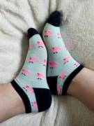 Do You Like My Cute Whale Socks? &Amp;Amp;Lt;3