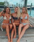 Bikini Chicks