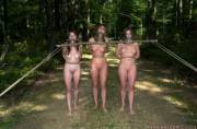 The Triple Gag Harness, Although Not An Effective Way Of Harnessing Slavegirls, Is ...