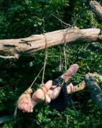 Hanging From A Branch (X-Post From /R/Suspendedgirls)