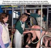 Femdom Matriarchy Now Uses Men As Cattle, They Now Produce Milk And It's Better Than ...