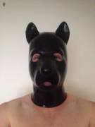 Just Got My New Latex Pup Hood From Blackstyle. I Must Say They Make Amazing Latex. ...