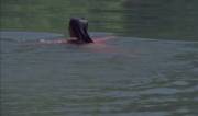 Zombie Lake (1981) Pascale Vital [First Girl At The Lake (Uncredited)] Skinny Dipping. ...