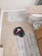 Airbnb Guest Left This Thong After Her Shower, And Brought A Man &Amp;Quot;Friend&Amp;Quot; ...
