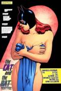 Barbara Gordon As Batgirl, Forced To Pursue Catwoman Through A Nudist Club [Batman ...