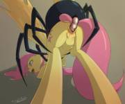 Spider/Mlp