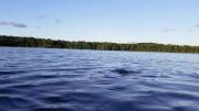 Skinny Dipping In Another &Amp;Quot;Pure Up North&Amp;Quot; Inland Lake!