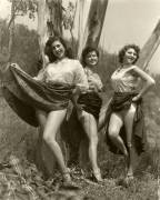 Some Girlfriends Have A Picnic In The Hills (1940S)