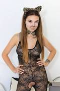 Cat Teen