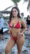 Ashley Graham In A Bikini