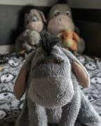 Everyone, Say Hello To Eeyore! He Saids Thank You For Noticing Him.