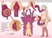 Does Anyone Have A Comic About Something Like This Where A Tentacle Lives In Someone’s ...