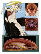 &Amp;Quot;Orca Vore&Amp;Quot; [Furry][Oral][Soft][M][Sequence][Unwilling]