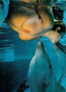 Dolphin Kisses