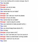 Just Spent 25 Minutes With Her, The Best Omegle Experience I've Ever Had. I Think ...