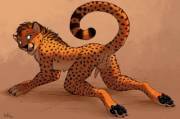 Playful Cheetah [Hh] (Anchee)