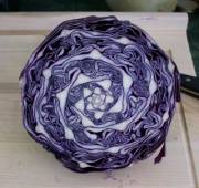 Cabbage Geometry (X-Post From /R/Interestingasfuck)