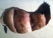 The Hand Made Fox/Wolf Tail Plug My Kitty Made Went For More Of A Cartoon/Furry Look ...