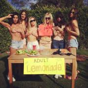 Adult Lemonade Stand