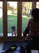 We Hired A Stripper For A Mates Birthday, Our Dog Was More Than Confused. [Xpost ...