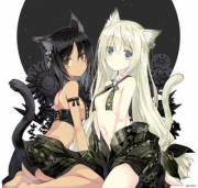 White &Amp;Amp;Amp; Black Cat By Amagai Tarou