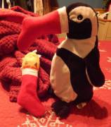 Daddy And I Made Stockings For Our Stuffies, Foxxi &Amp;Amp;Amp; Mr. Penguin. I Think ...