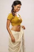 Veena Malik - Another Hot [Pic] In Saree