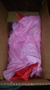 My Medium Nova The Breeder Just Arrived In Some Fancy Red And Pink Papers. Here He ...