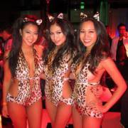 3 Asian Kitties