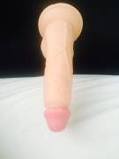 [F] Being Single Meant Getting Some New Toys - Dude, Suction Cupped Dildos Are The ...