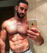 Hairy Persians Nips