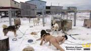 Maledom Empire Proudly Opened Our Arctic Research Facility, We Use Different Animals ...