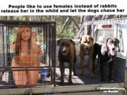 Many People Like To Train Their Dogs To Hunt Female Petgirls Instead Of Rabbits, ...