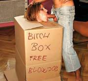 Bitch Box