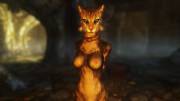 For Some Reason I Have An Album Of 99 Screenshots Of Sexy Argonians And Khajiiti. ...