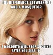 So This Is Why It Is Wrong To Say Women Are Mosquito-Brained.