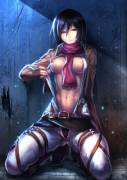 Mikasa Has An Amazing Body &Amp;Amp;Lt;3