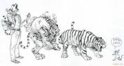 One Of The Pictures In Kim Jung Gi's Sketchbook. [Tigerman -&Amp;Amp;Gt; Tiger]
