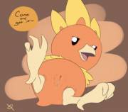 In Response Of The Lack Of Female Solo Torchic, I Present You, A Female Solo Torchic ...
