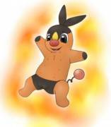 Tepig [1 F Solo, 2 M Solo, M Buizel/F Tepig, M Trainer/F Tepig, M Snivy/F Tepig, ...