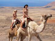 Judita A &Amp;Amp;Amp; Friend Riding Camels.